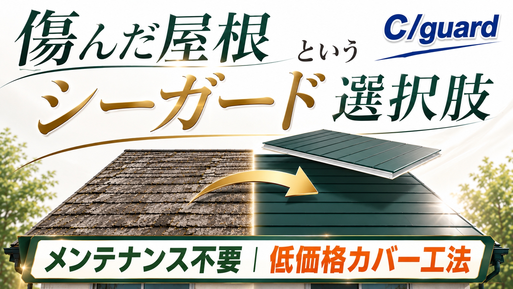 シーガード